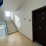 Apartamento Dardana&gerjon