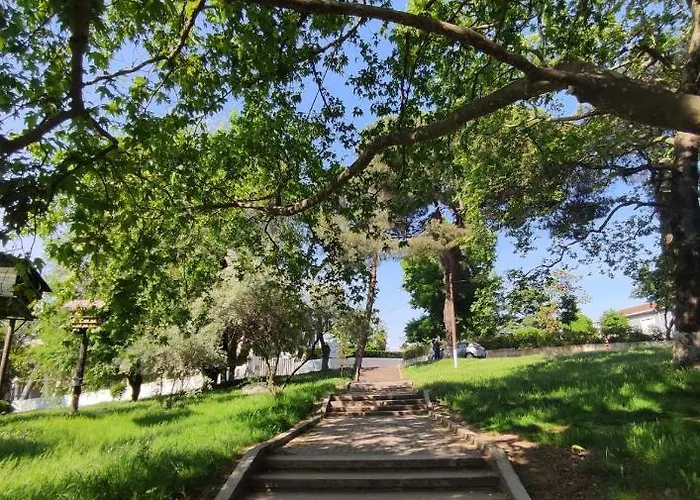 Apartment Dardana&gerjon *