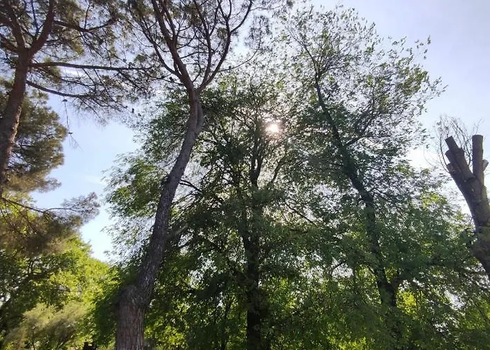 Dardana&gerjon Apartmán *